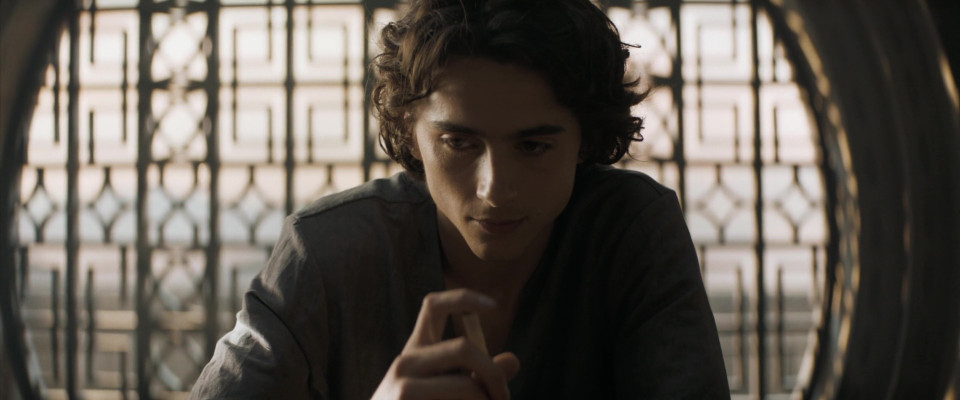 Timothee Chalamet pic #1354870
