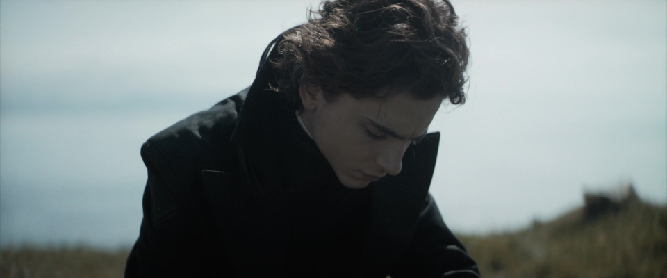 Timothee Chalamet pic #1354871