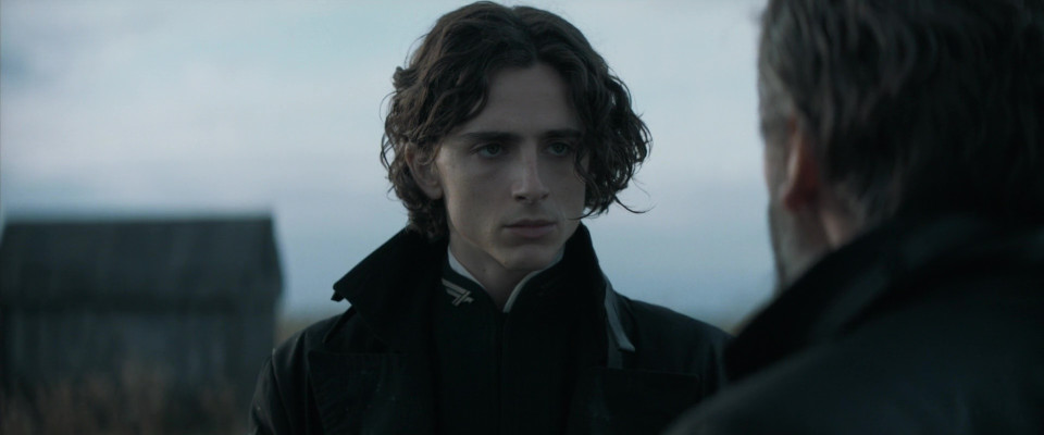 Timothee Chalamet pic #1309495