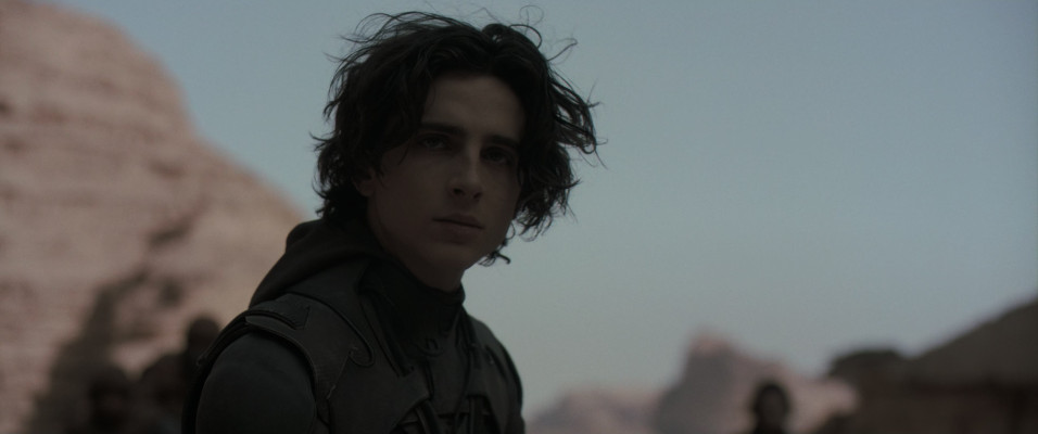 Timothee Chalamet pic #1354874