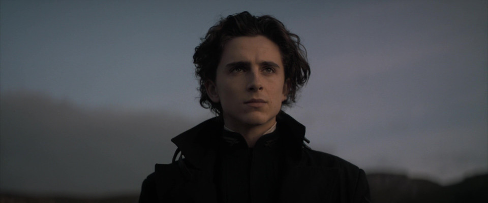 Timothee Chalamet pic #1309499
