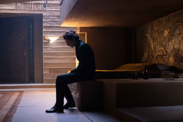 Timothee Chalamet pic #1355496