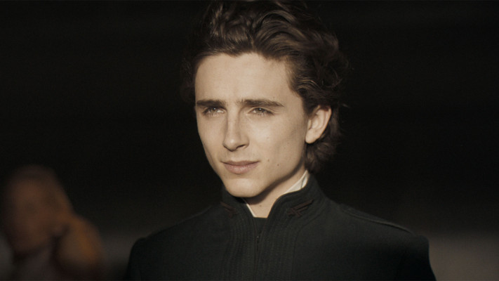 Timothee Chalamet pic #1276482