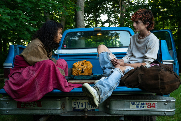 Timothee Chalamet pic #1308141