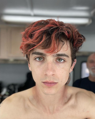 Timothee Chalamet pic #1326310