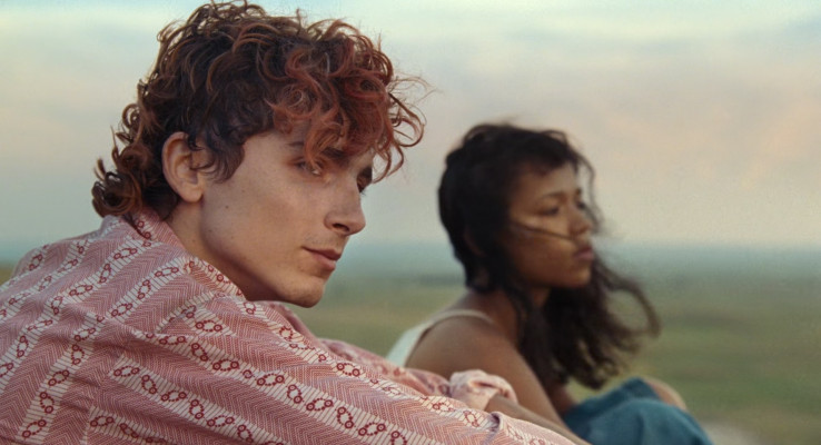 Timothee Chalamet pic #1326308