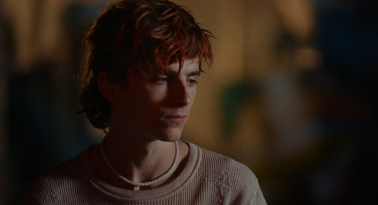 Timothee Chalamet pic #1330263