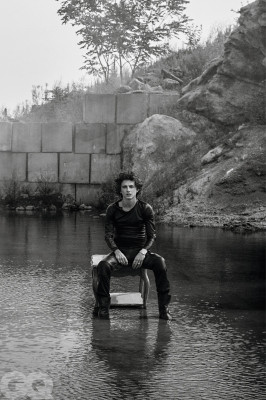 Timothee Chalamet pic #1343240