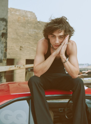 Timothee Chalamet pic #1337496