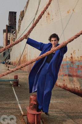 Timothee Chalamet pic #1338737