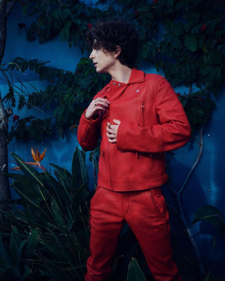Timothee Chalamet pic #1322696