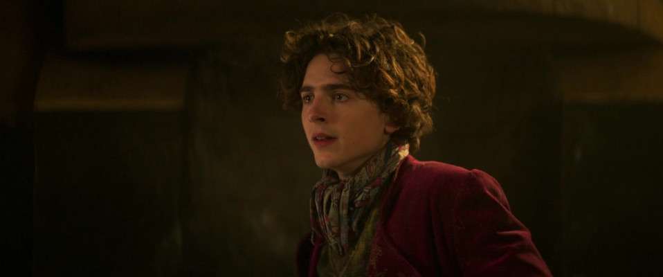 Timothee Chalamet pic #1351243