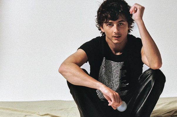 Timothee Chalamet pic #1364920