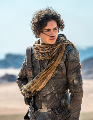 Timothee Chalamet pic #1344872