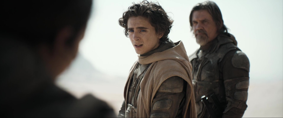 Timothee Chalamet pic #1352485