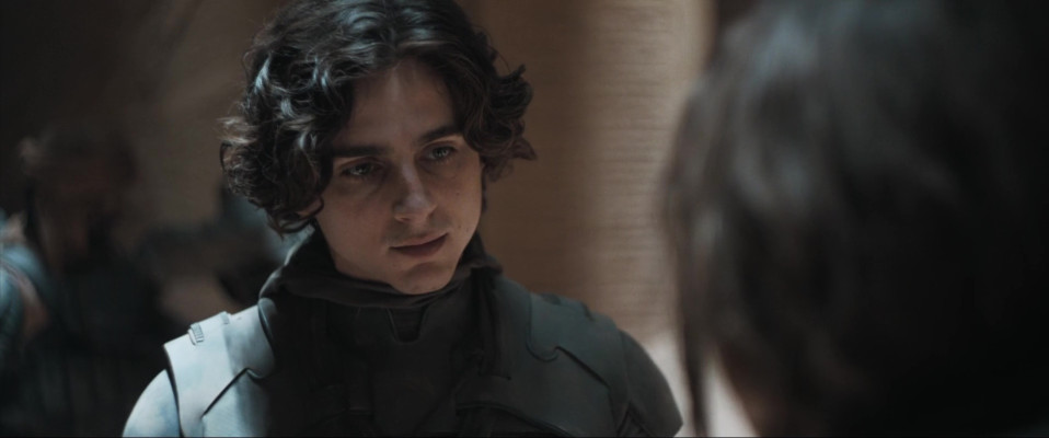 Timothee Chalamet pic #1350981
