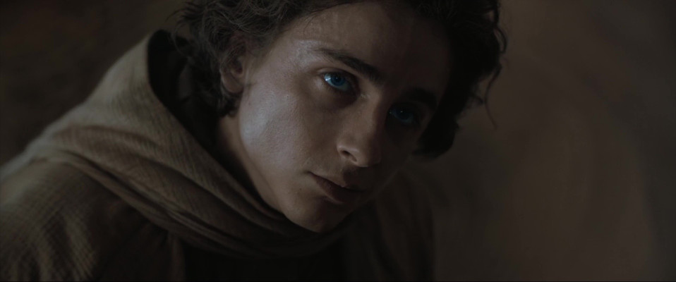 Timothée Chalamet - Dune: Part Two (2024)