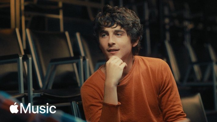 Timothee Chalamet pic #1363917