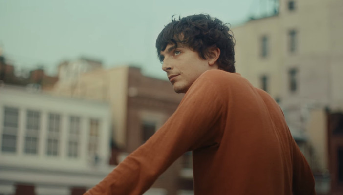 Timothee Chalamet pic #1363915