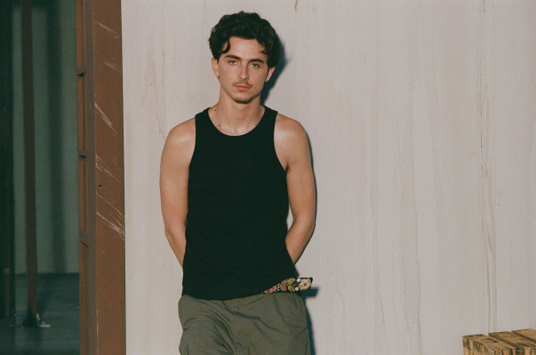 Timothee Chalamet pic #1378079
