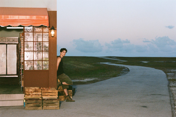 Timothee Chalamet pic #1378077