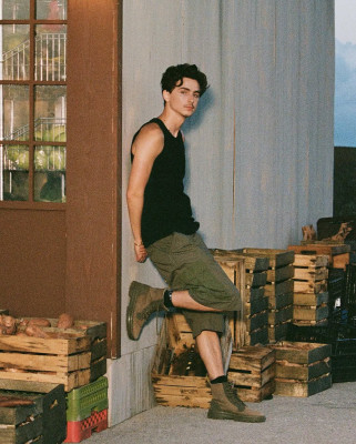 Timothée Chalamet by Aidan Zamiri for Cash App Campaign (2025)