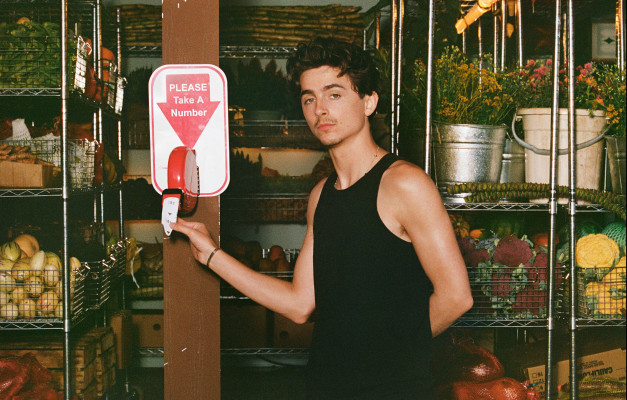 Timothee Chalamet pic #1378080