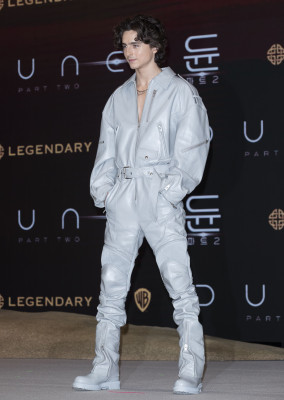 Timothee Chalamet pic #1347918