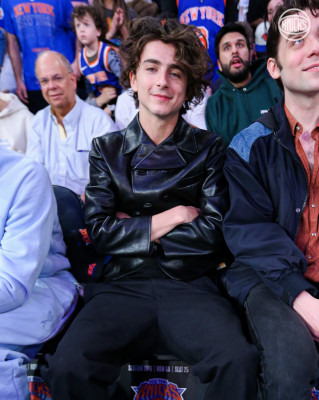 Timothee Chalamet pic #1328252
