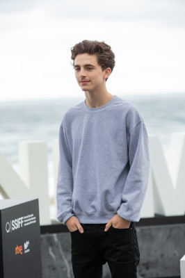 Timothee Chalamet pic #1307963