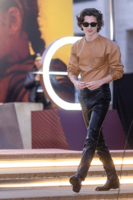Timothee Chalamet pic #1353717