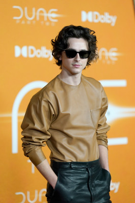 Timothee Chalamet pic #1347444