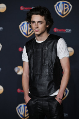 Timothee Chalamet pic #1327548