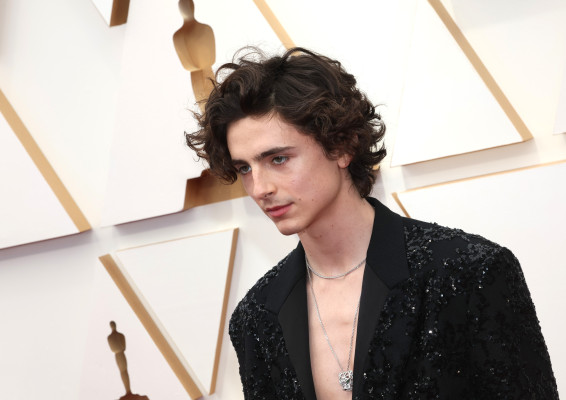 Timothee Chalamet pic #1303365
