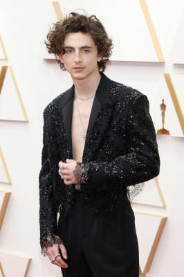 Timothee Chalamet pic #1320478