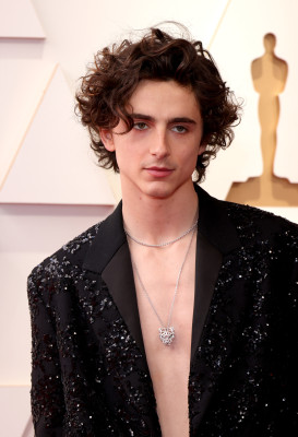 Timothee Chalamet pic #1306263