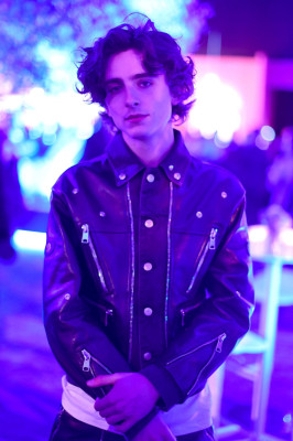 Timothee Chalamet pic #1303459