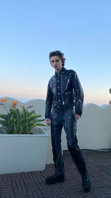 Timothee Chalamet pic #1303458