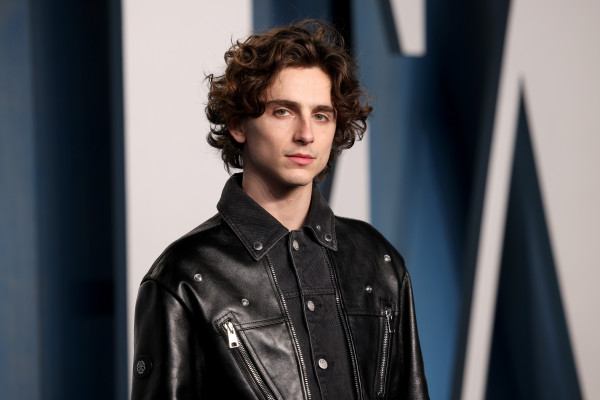 Timothee Chalamet pic #1303456