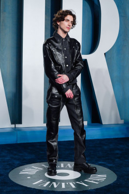 Timothee Chalamet pic #1312119