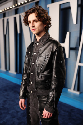 Timothee Chalamet pic #1301054