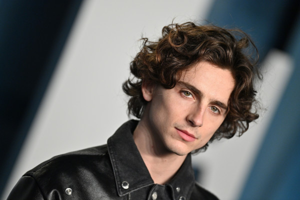 Timothee Chalamet pic #1301053
