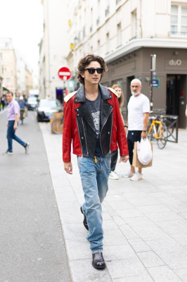 Timothee Chalamet pic #1336066