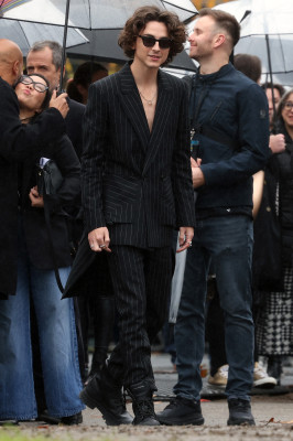 Timothee Chalamet pic #1352608