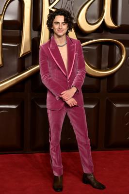 Timothee Chalamet pic #1342210