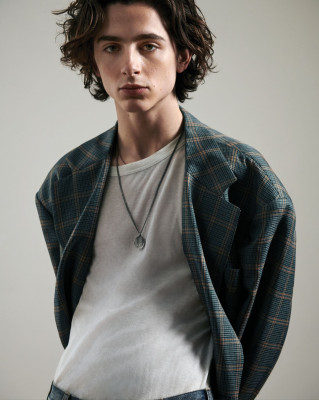 Timothee Chalamet pic #1024673