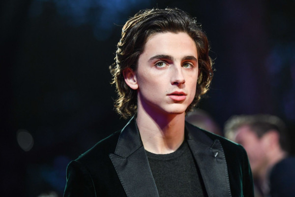 Timothee Chalamet pic #978020