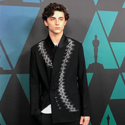 Timothee Chalamet pic #1098623