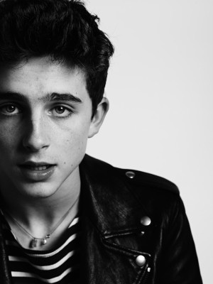 Timothee Chalamet pic #975204