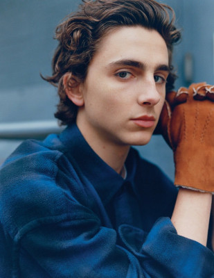 Timothee Chalamet pic #975206